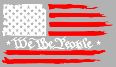 We the people Flag (2color)