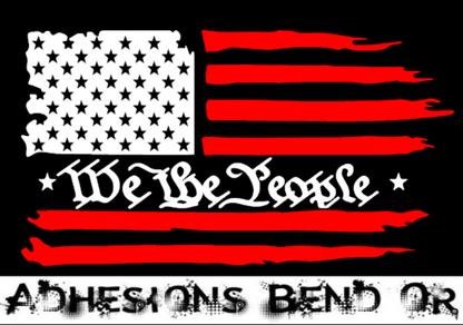 We the people Flag (2color)