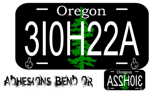 310H22A (ASSHOLE) License Plate